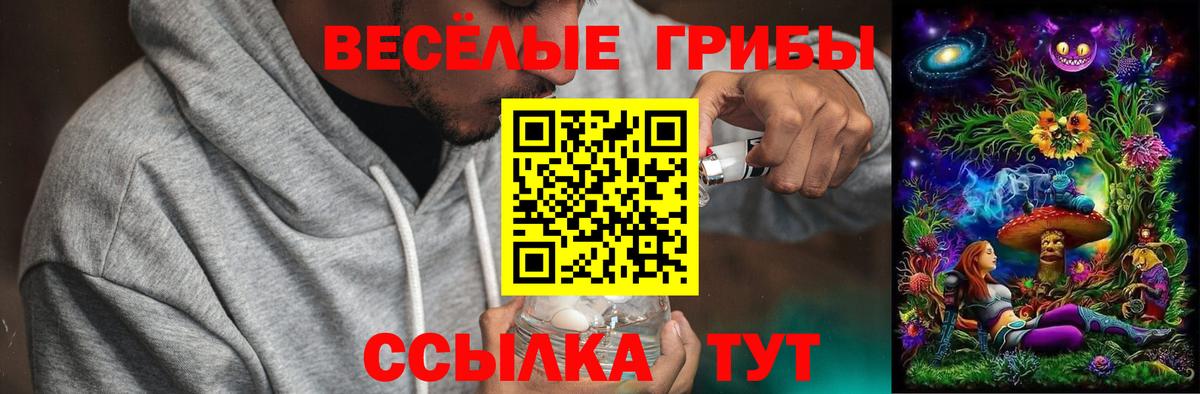 Лангепас  Псилоцибиновые грибы ЛСД  Псилоцибиновые грибы Psilocybe  Вход с VPN 