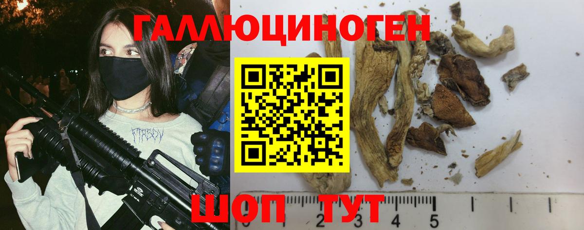 Псилоцибиновые грибы Cubensis Лангепас